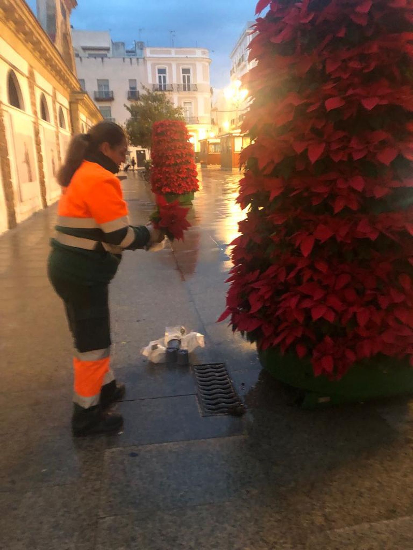 Una de las macetas, en el exterior del Mercado Central.