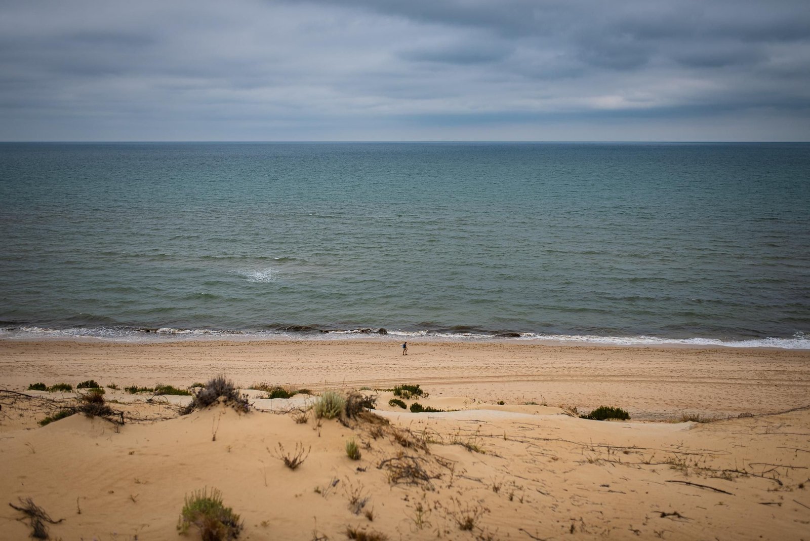 Un paseo a caballo por Doñana en imágenes