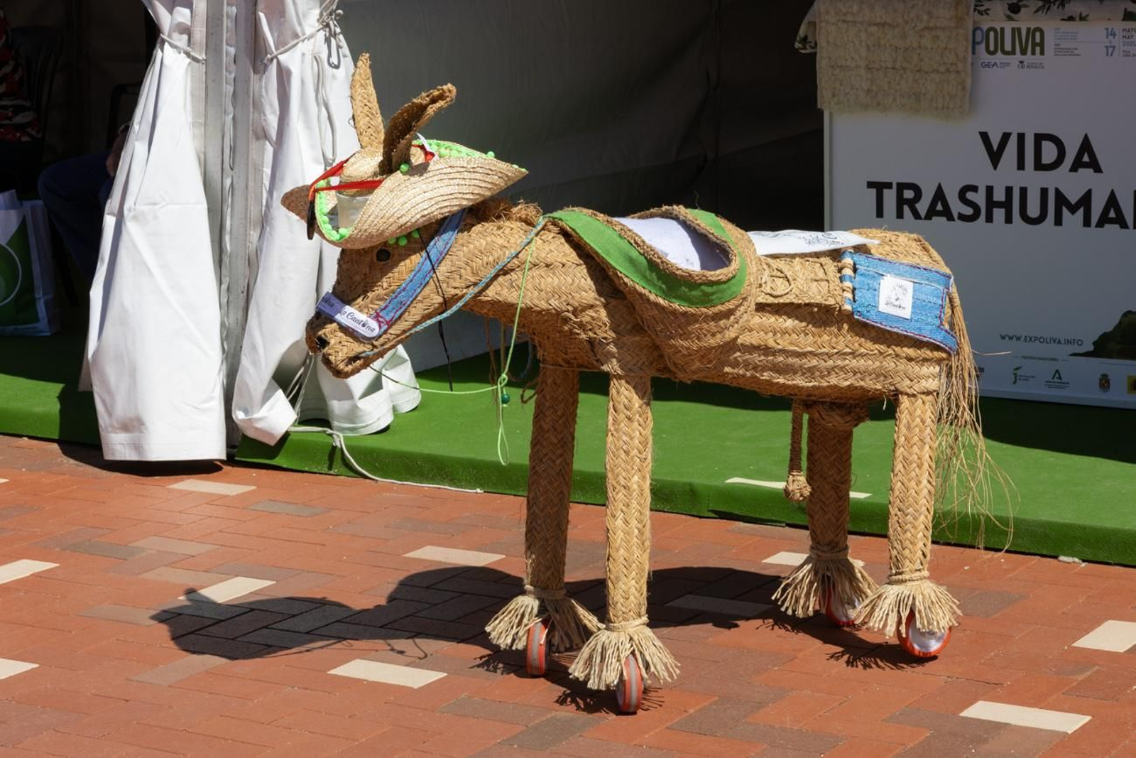 Las mejores imágenes de la tercera jornada de Expoliva