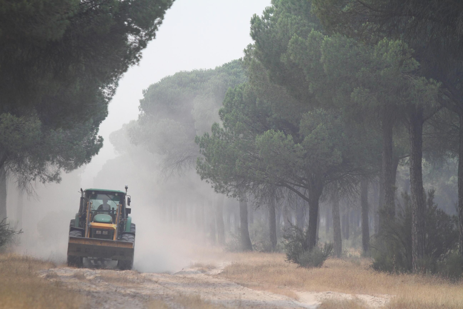 Las imágenes del incendio en Moguer y Mazagón