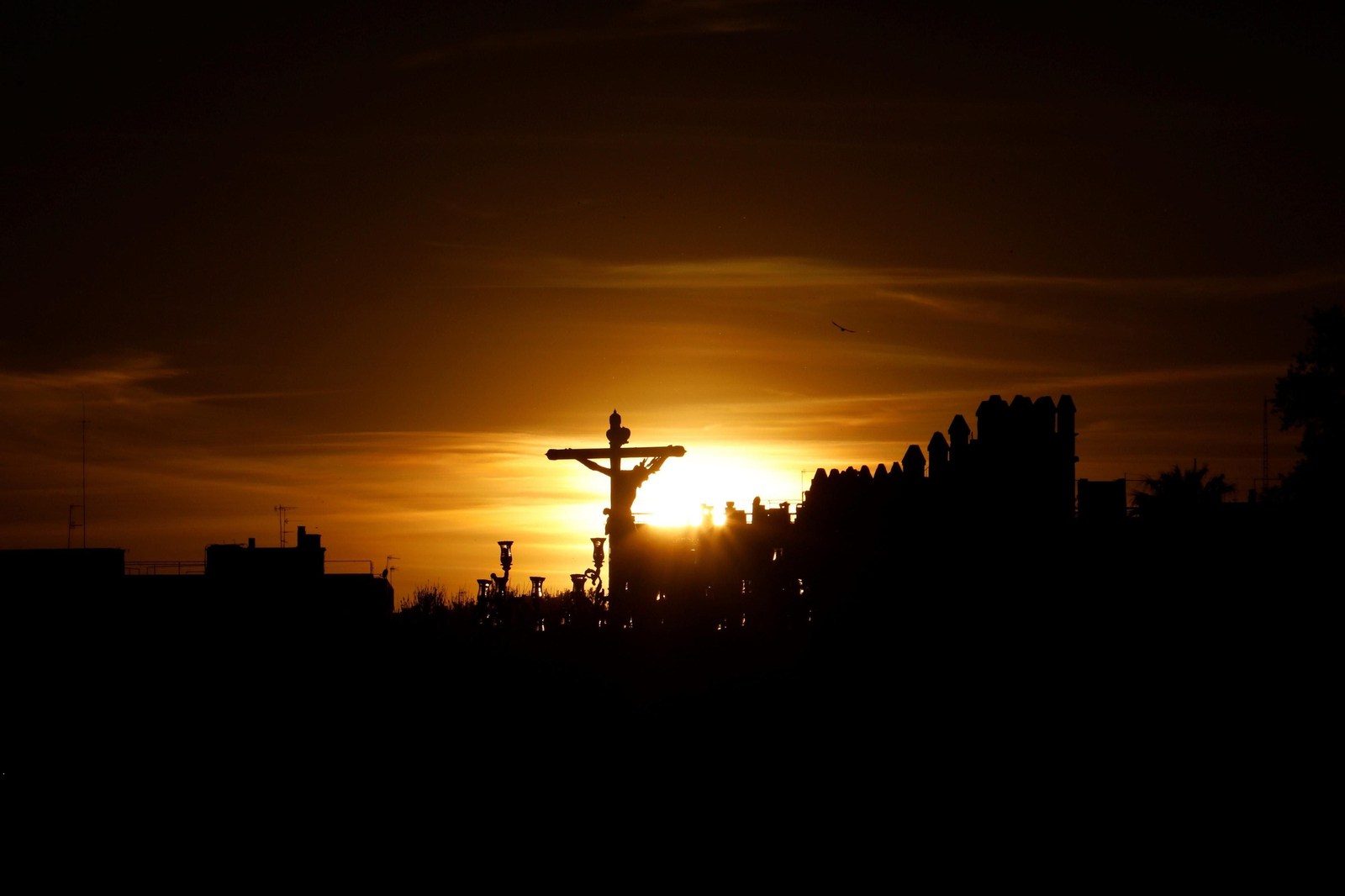 Domingo de Ramos Córdoba 2023: La procesión del Amor en imágenes