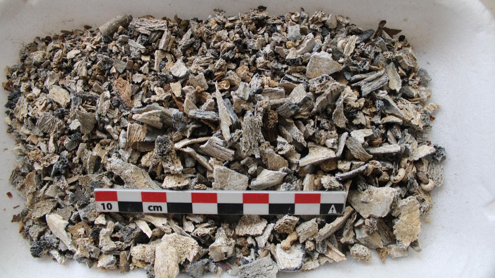 Bandeja que recoge todo el contenido de una urna de cremación.