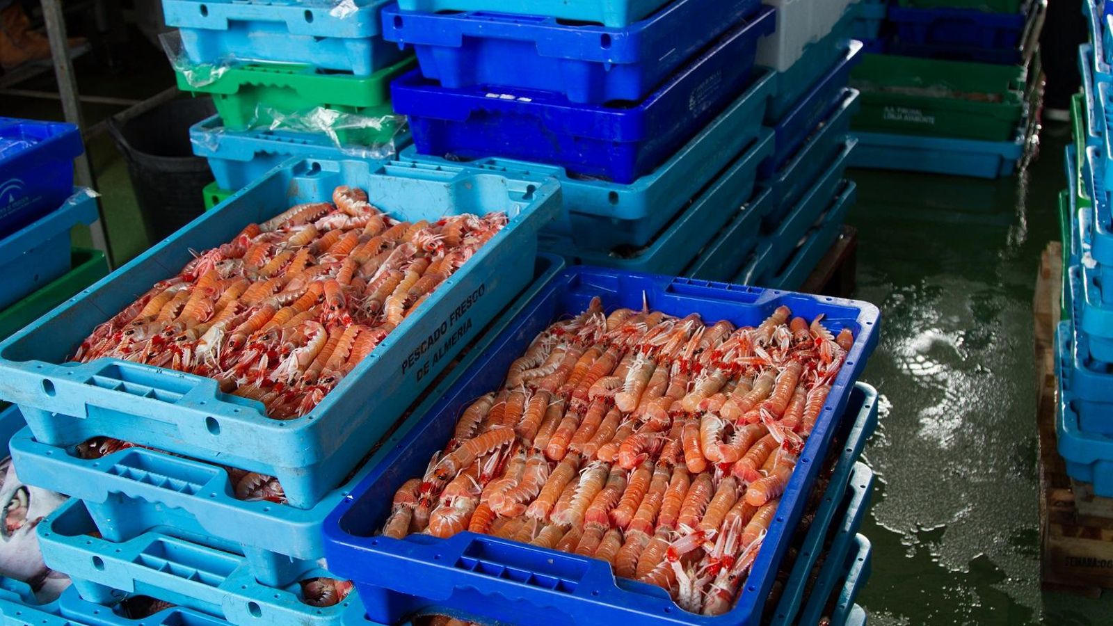 Cajas de cigalas. Cajas de cigalas.