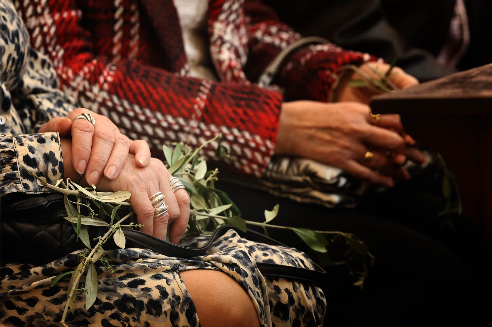 Domingo de Ramos 2025: Imágenes de la Misa presidida por el obispo de Huelva, Santiago Gómez, en la Catedral de Huelva