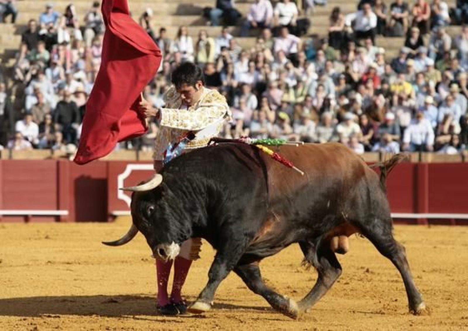 Salvador Vega logró los mejores momentos en el toreo de capa. 

Foto: Juan Carlos Muñoz