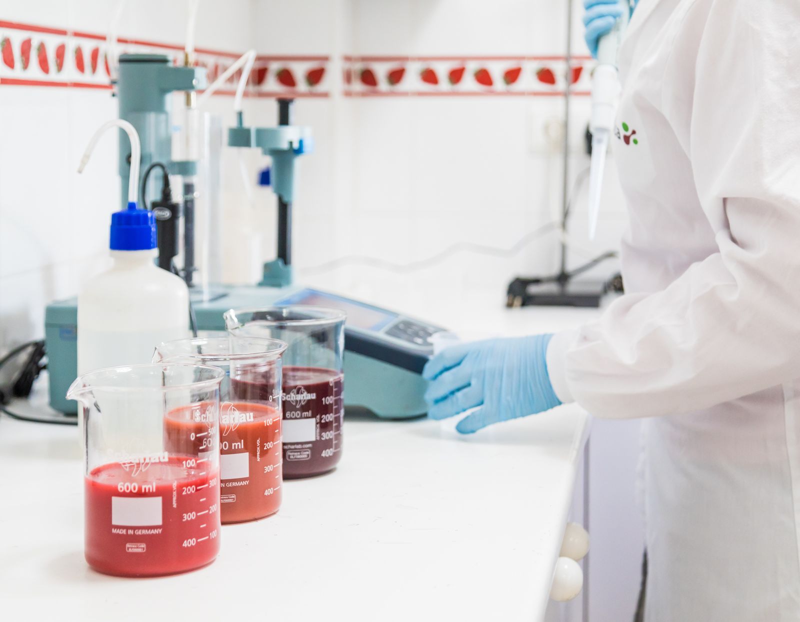 Pruebas Purés Hudisa.