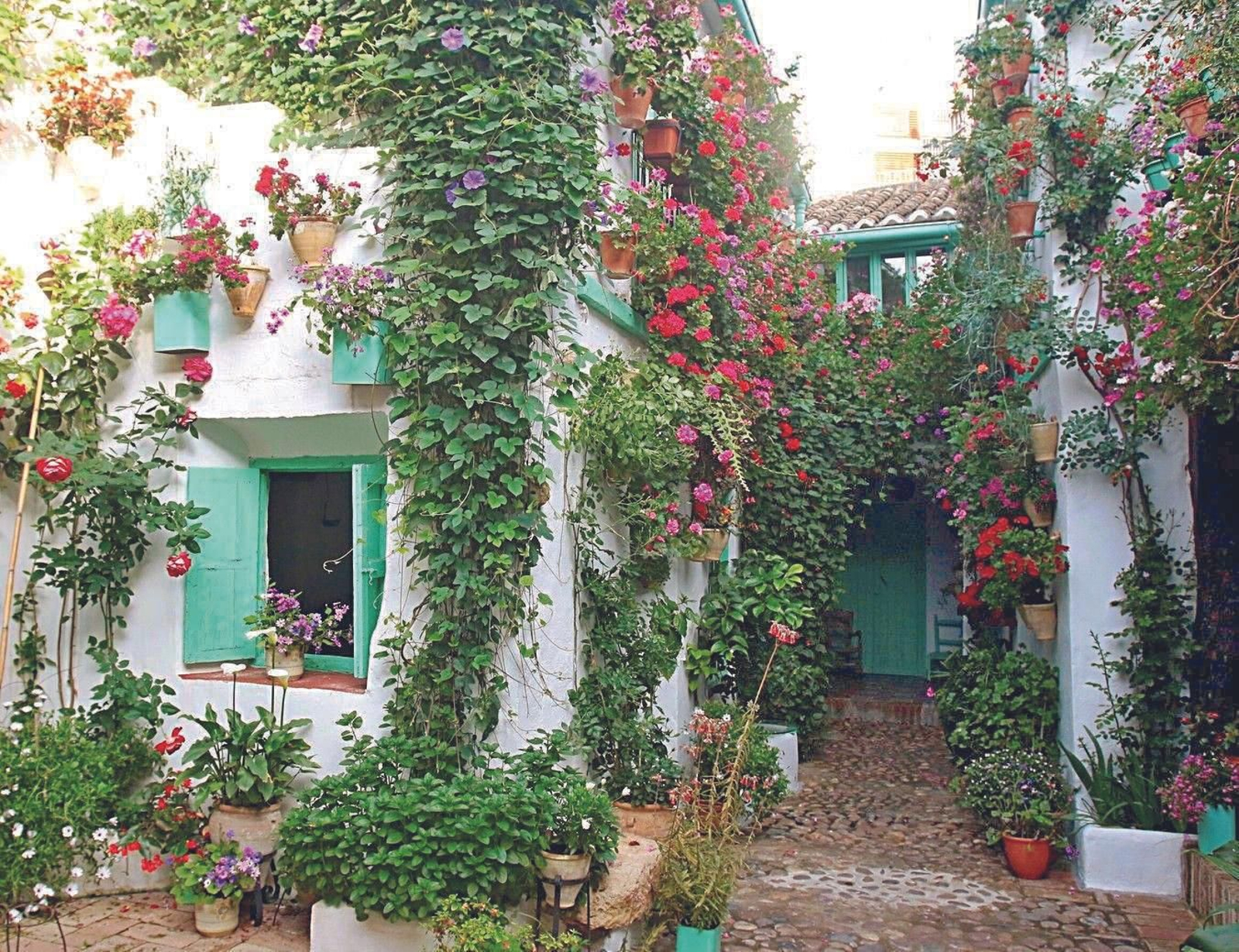 Ruta Alcázar Viejo: San Basilio, 40