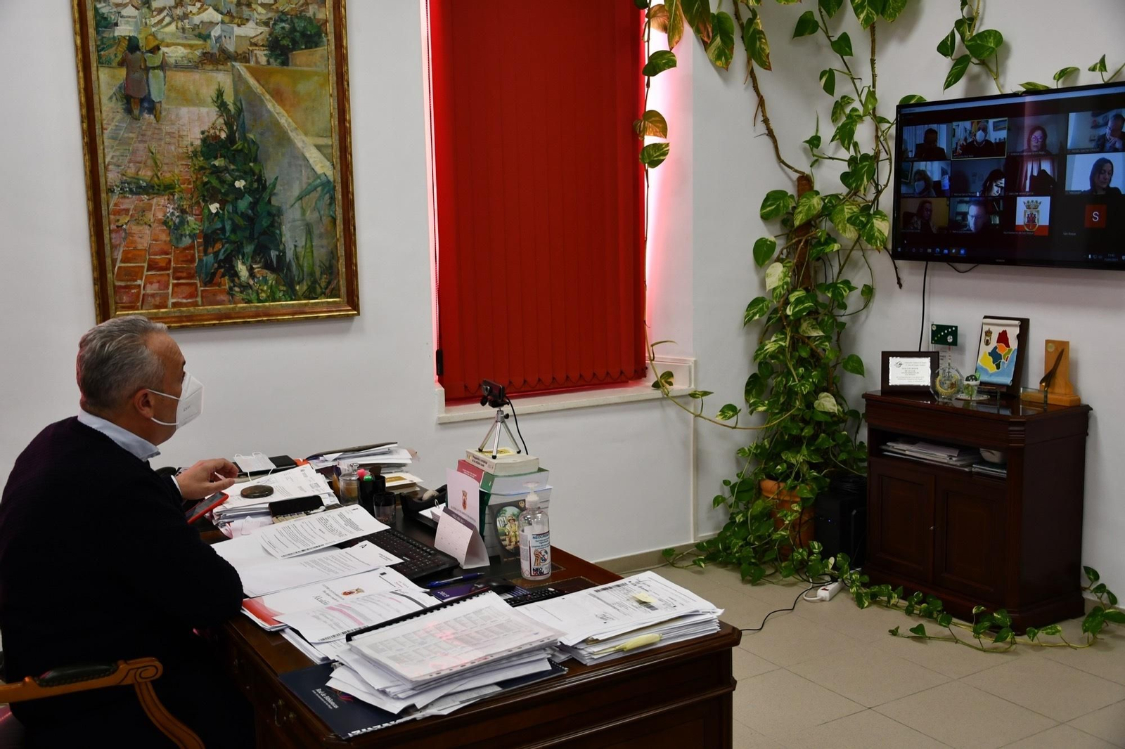 Ruiz Boix, durante la reunión telemática de la comisión Covid.