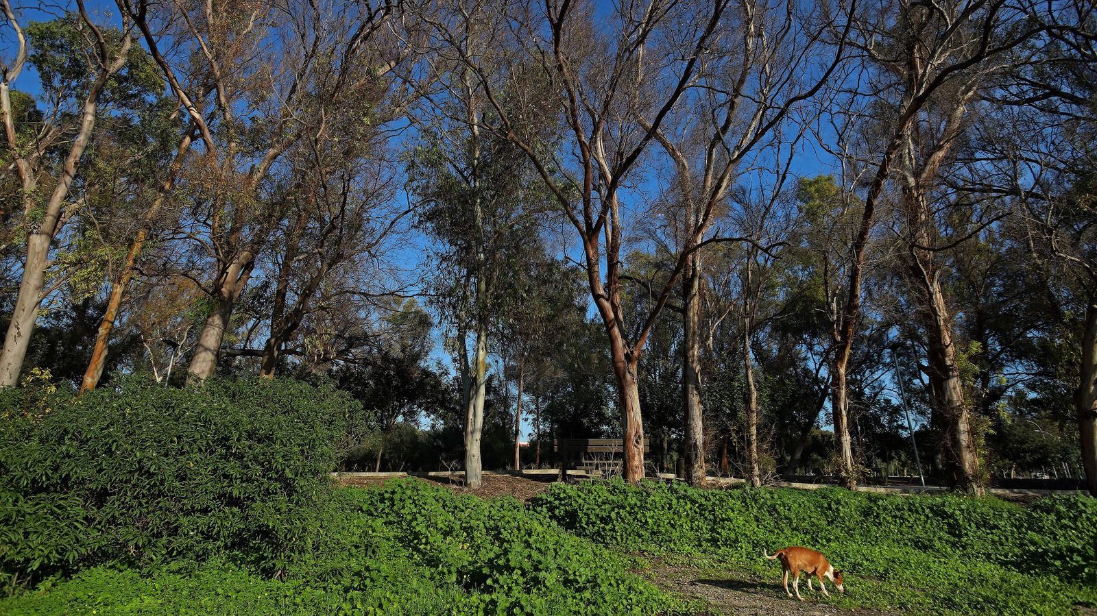 Sendero del arroyo de la Madre Vieja en San Roque