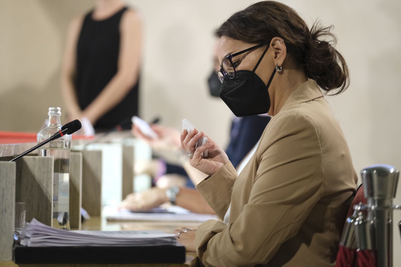 Fotogalería pleno ordinario Ayuntamiento de Almería.