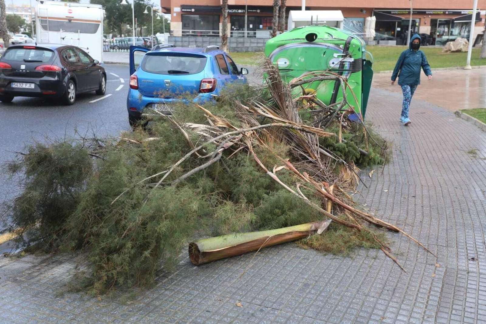 El temporal de lluvia y viento en Málaga