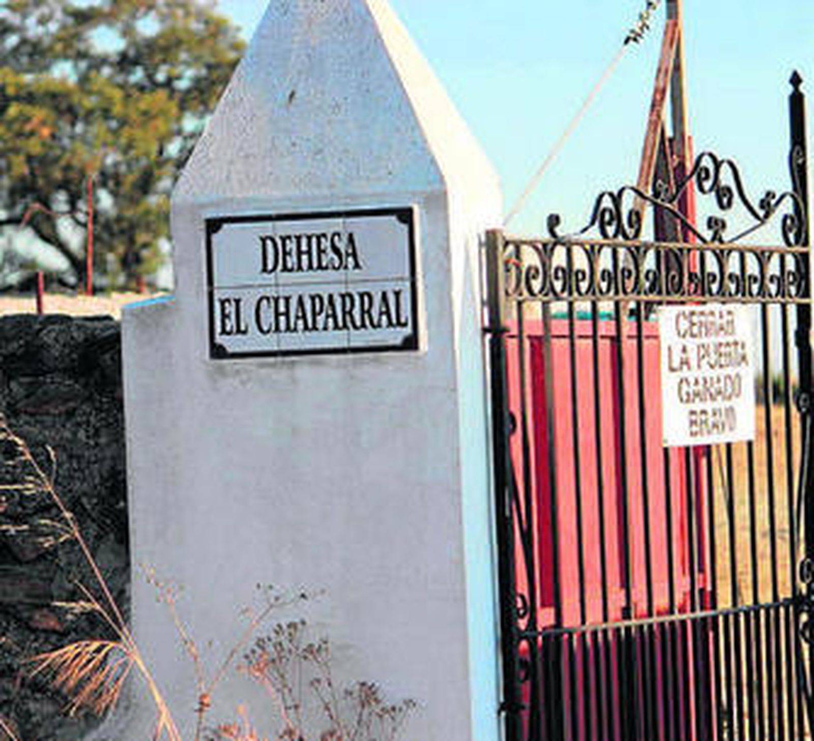 La entrada a la finca ya lo indica, aquí hay ganado bravo.