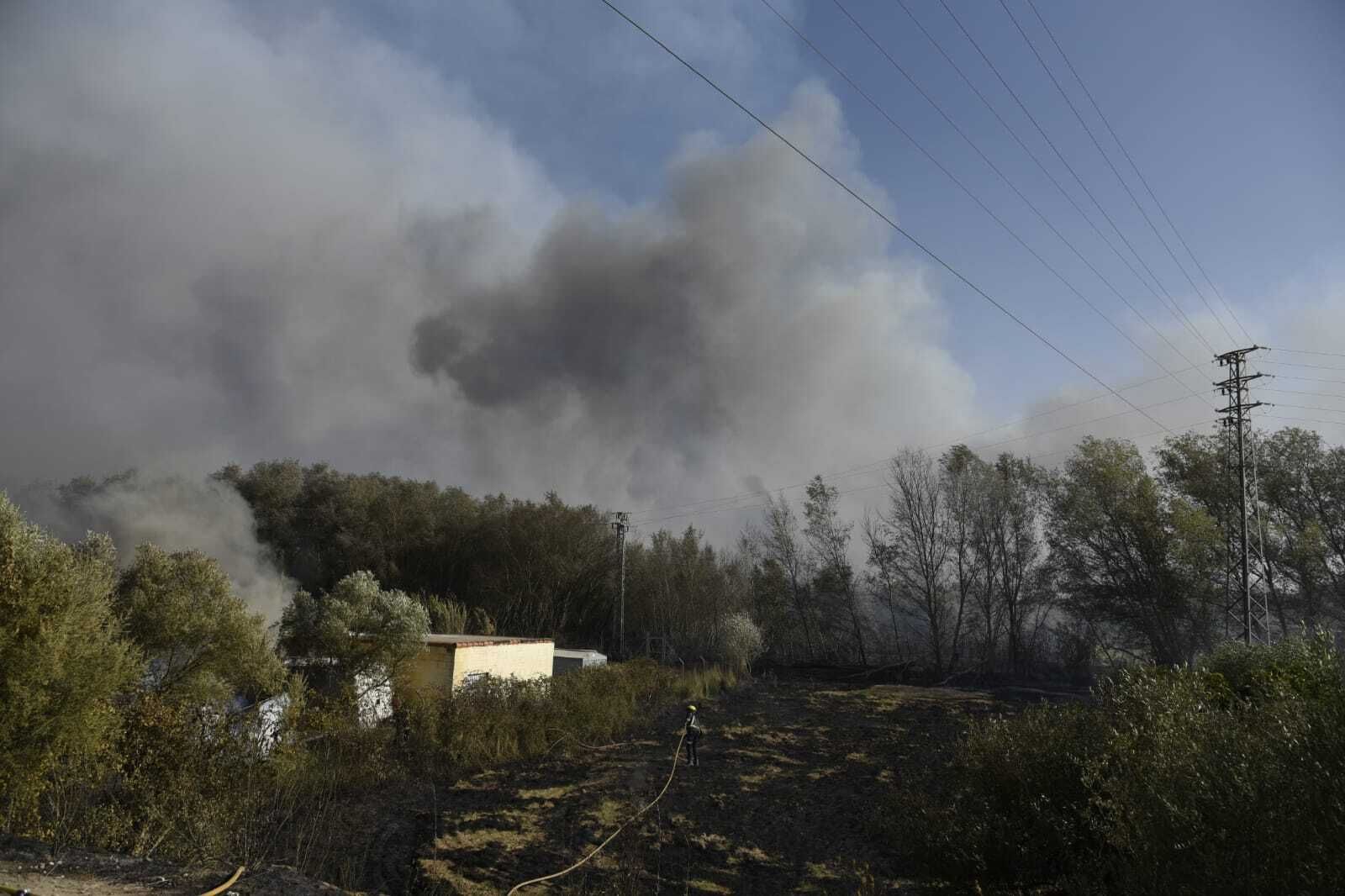 Imágenes del incendio forestal de Bonares