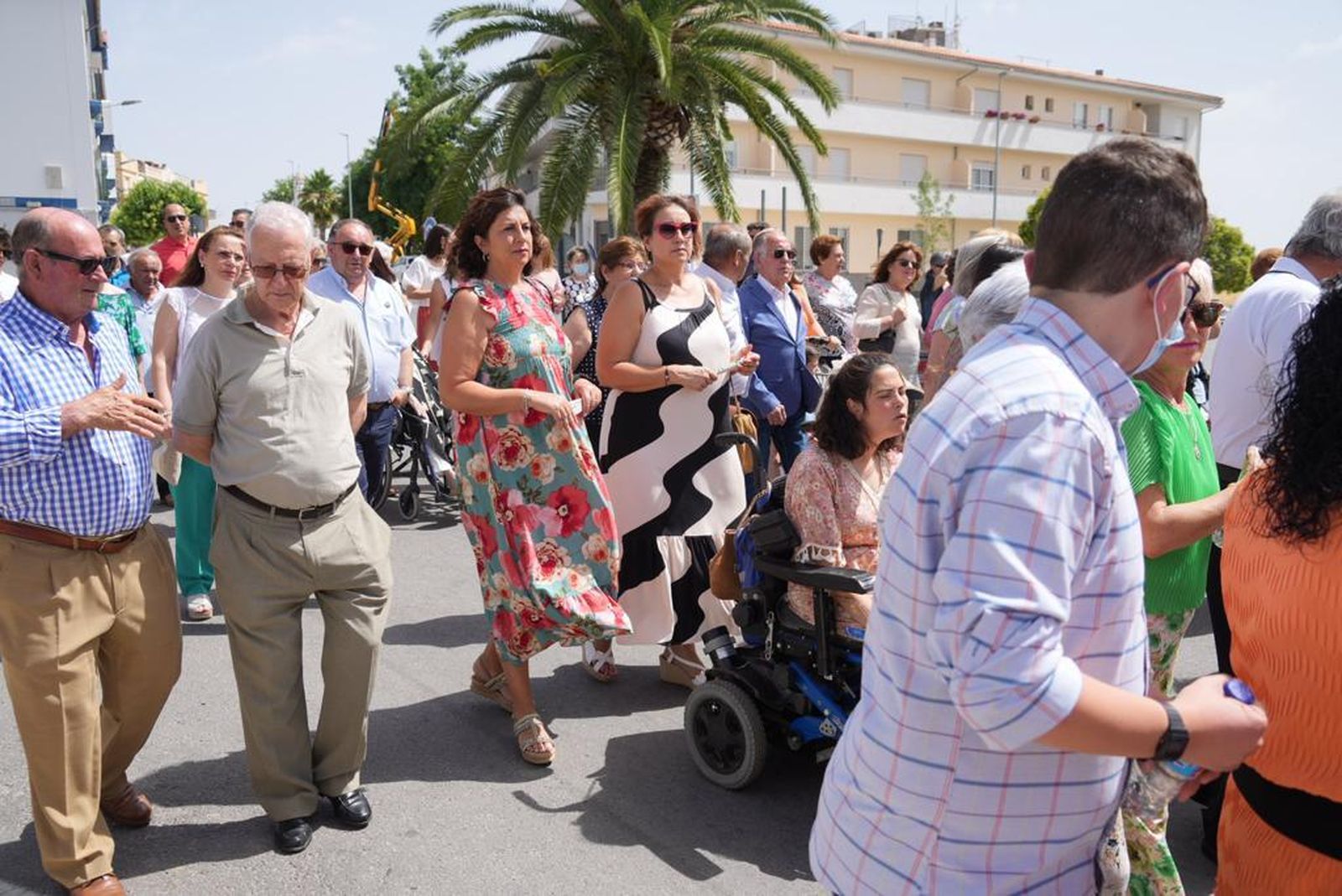 Las mejores imágenes de la procesión de San Antonio en Pozoblanco