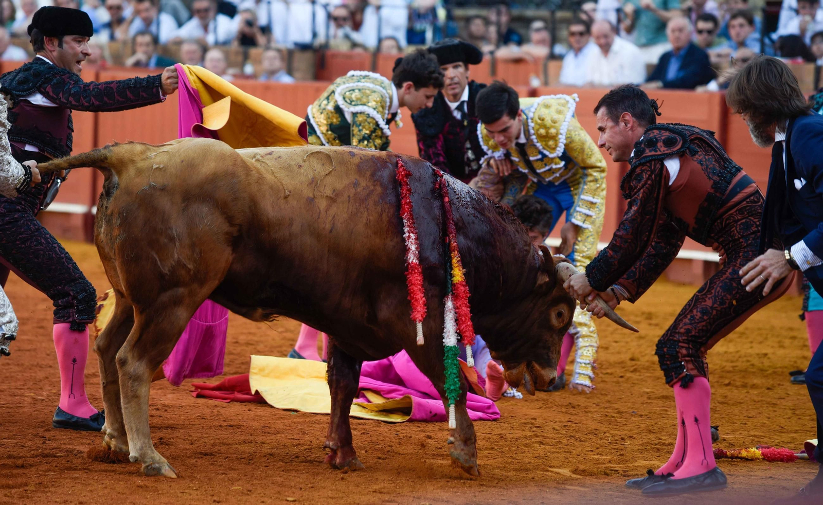 Final de la sexta edición del Circuito de Novilladas de Andalucía