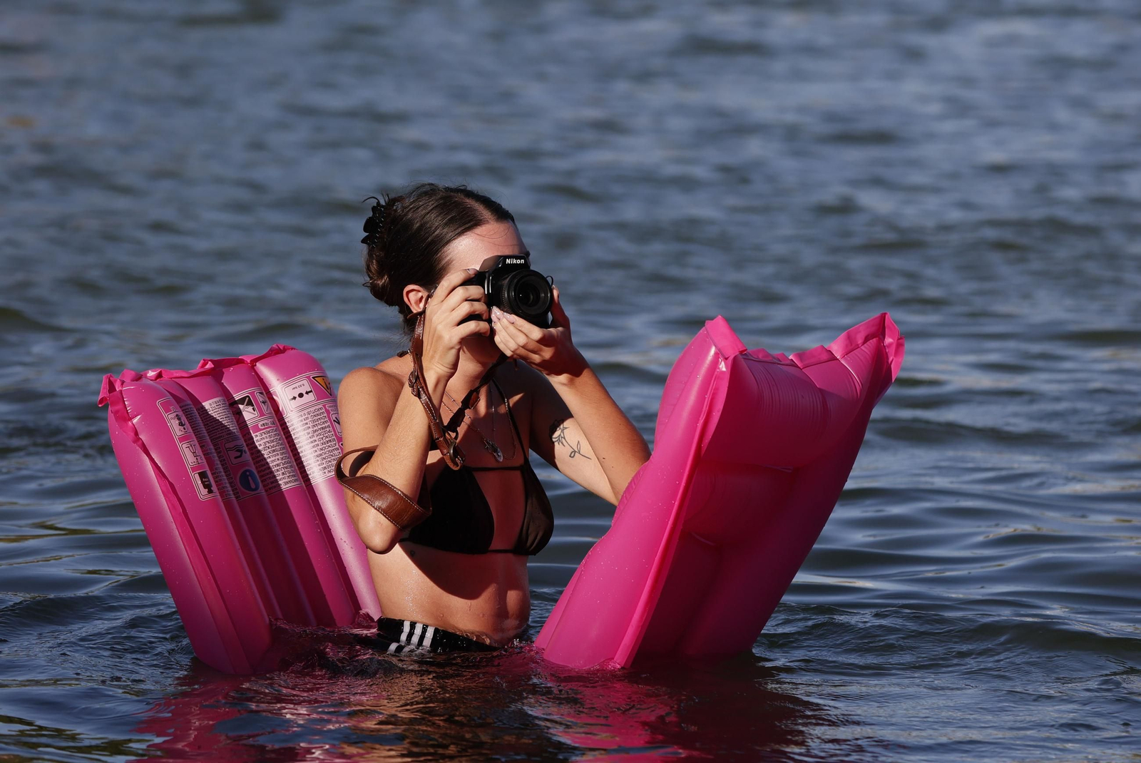 Las fotos de la cucaña