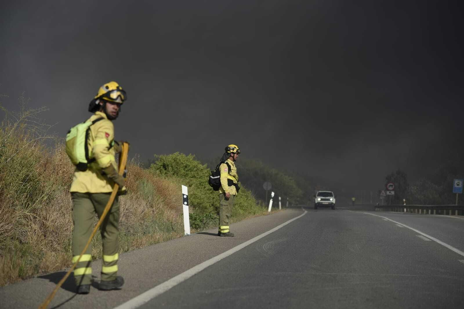 Imágenes del incendio forestal de Bonares