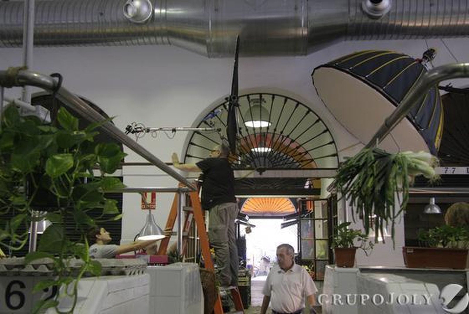 Foto: B.Vargas/Diana V.R.