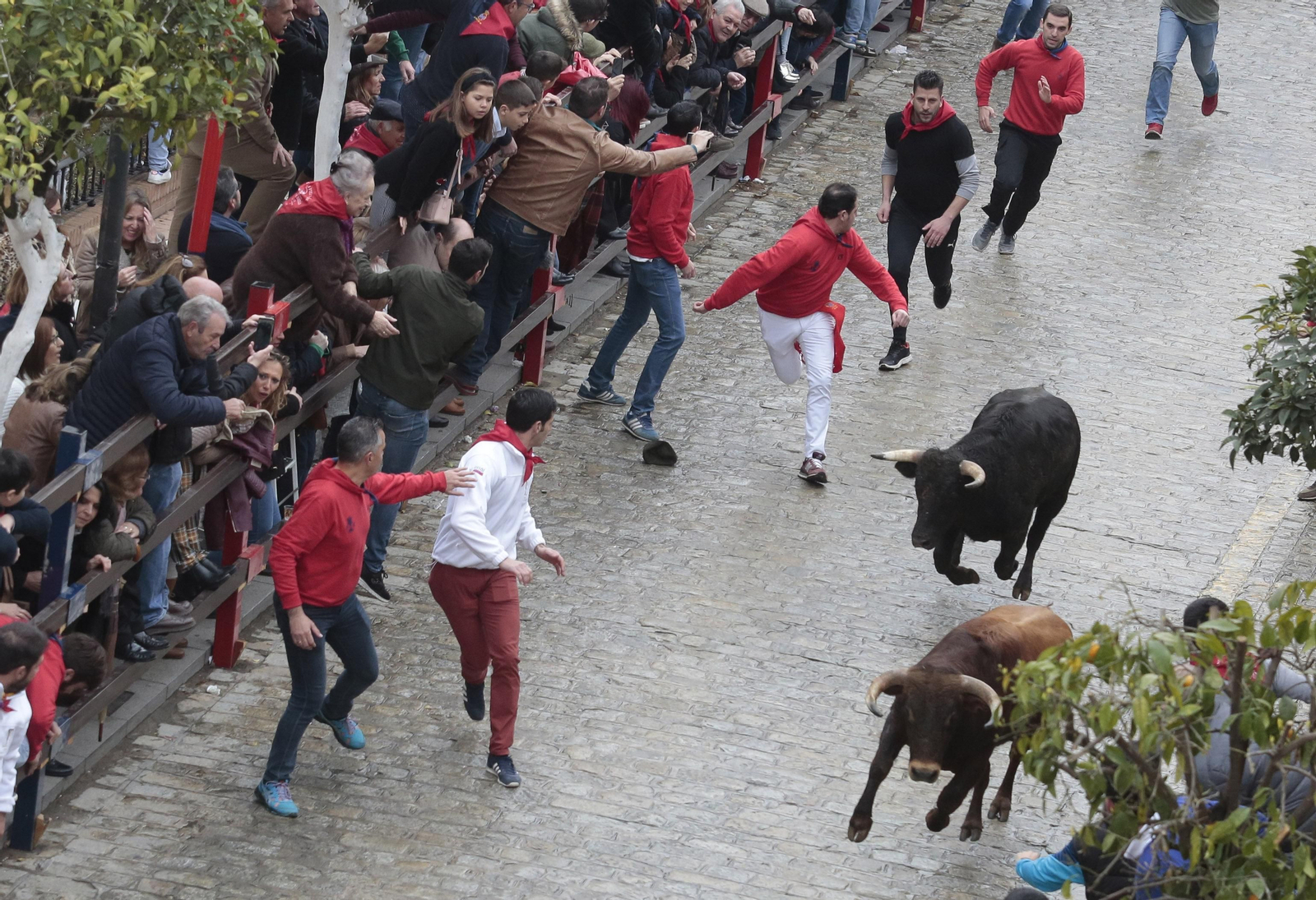 Las imágenes del encierro en La Puebla del Río