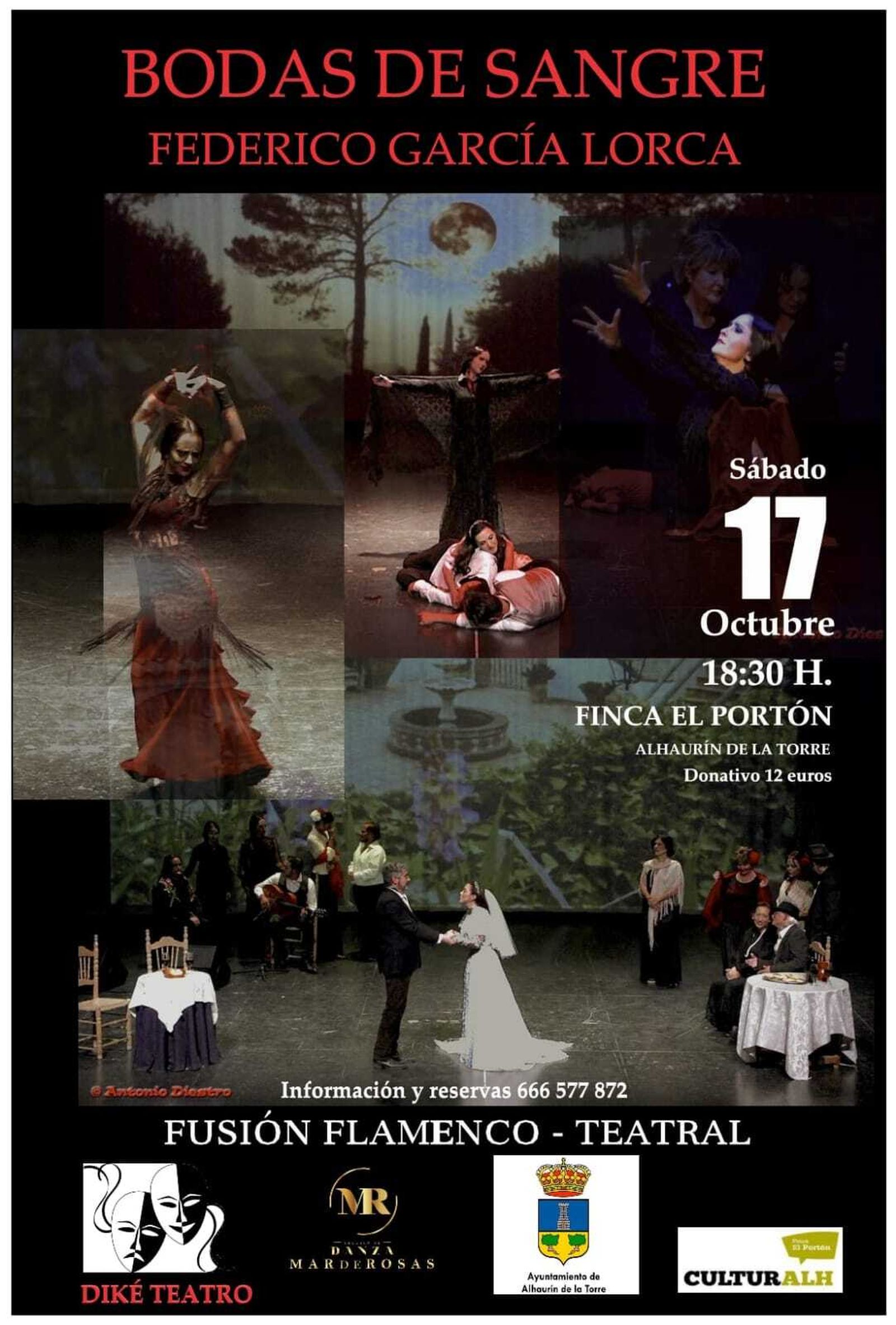 Cartel de 'Bodas de Sangre'.