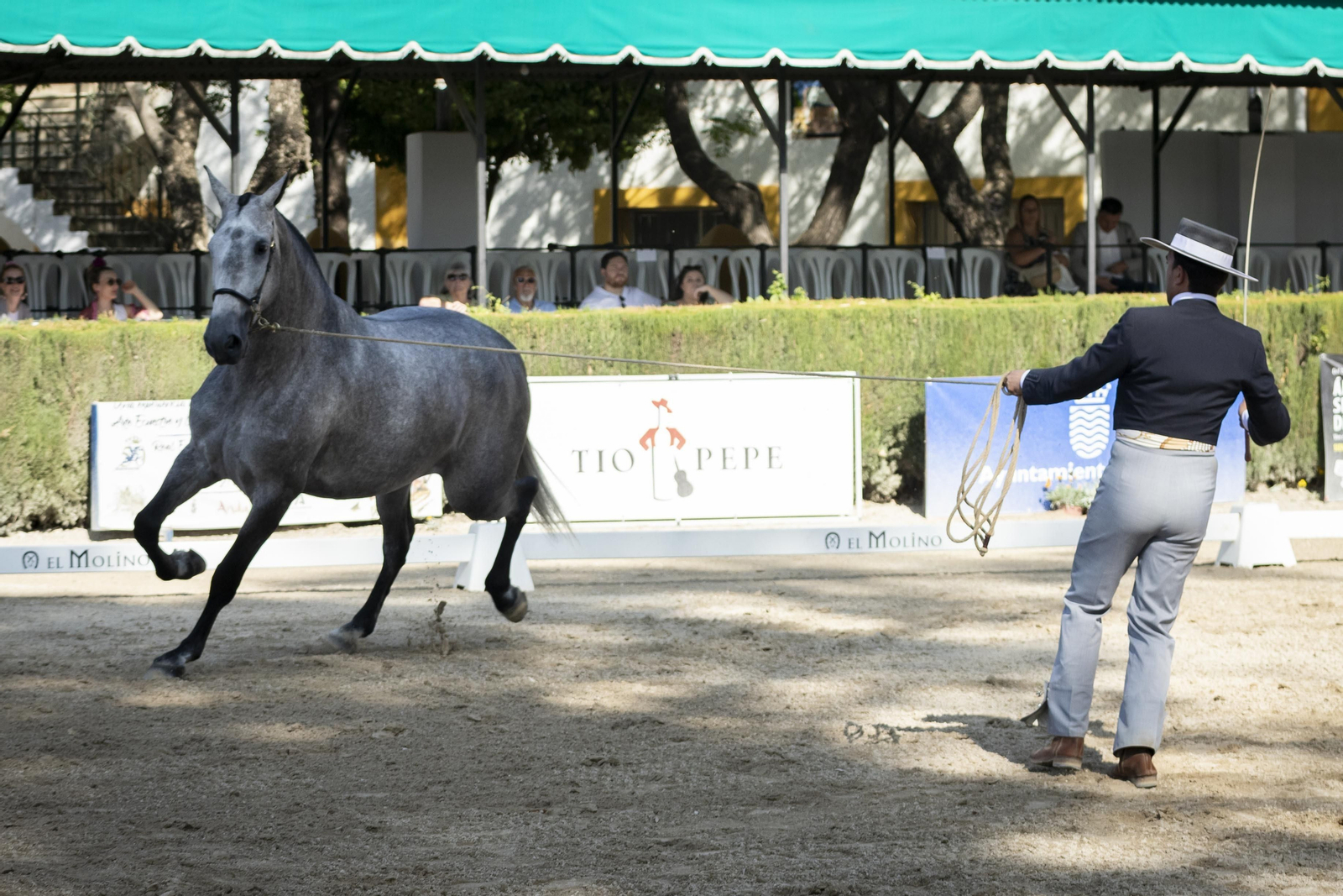 El concurso Campeón de Campeones en el Depósito de Sementales de Jerez