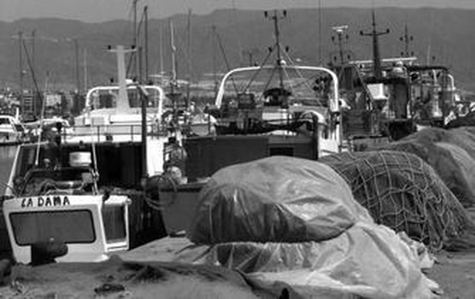 En la década de los '60 se instauró la pesca de palangre en Carboneras y a día de hoy 41 naves se dedican a esta actividad.