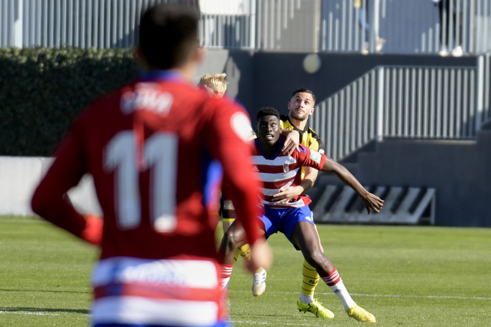 Samu pelea con un rival.