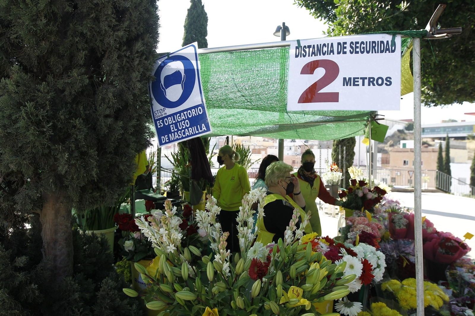 Fotogalería Día de Todos los Santos. Cementerio de San José. Almería