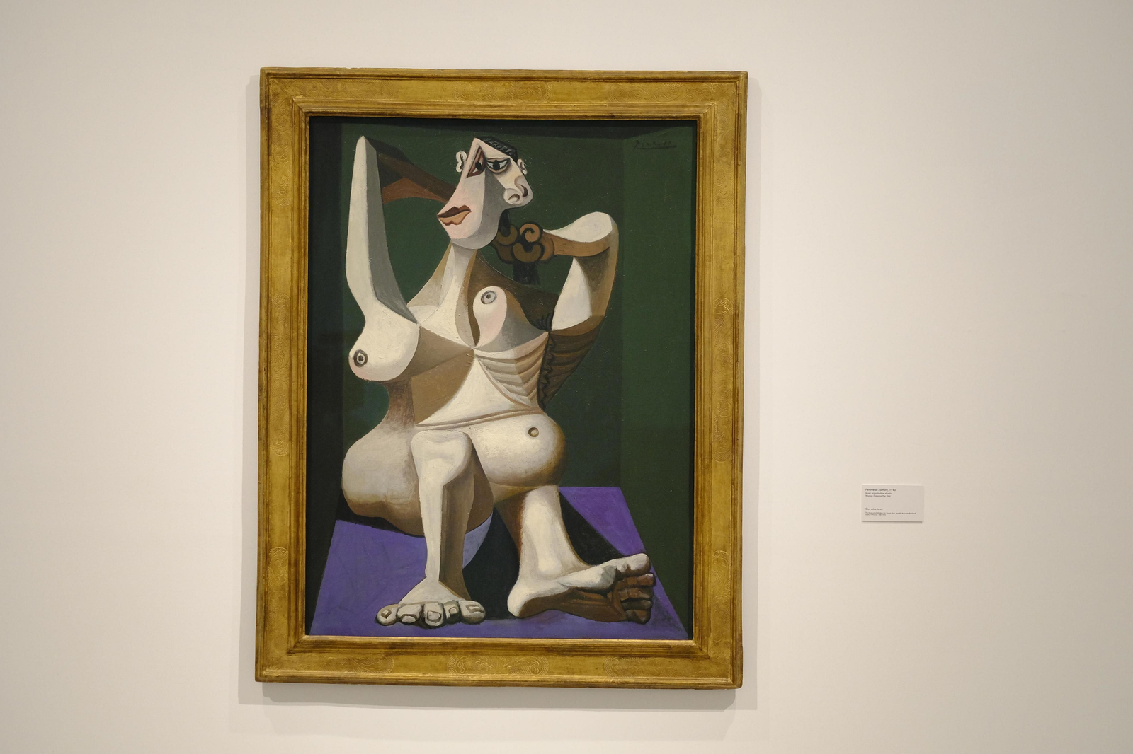 Las imágenes de 'Piedad y terror en Picasso'