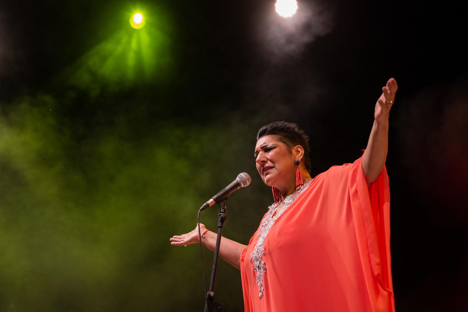 Remedios Amaya, en una de sus últimas actuaciones en Jerez