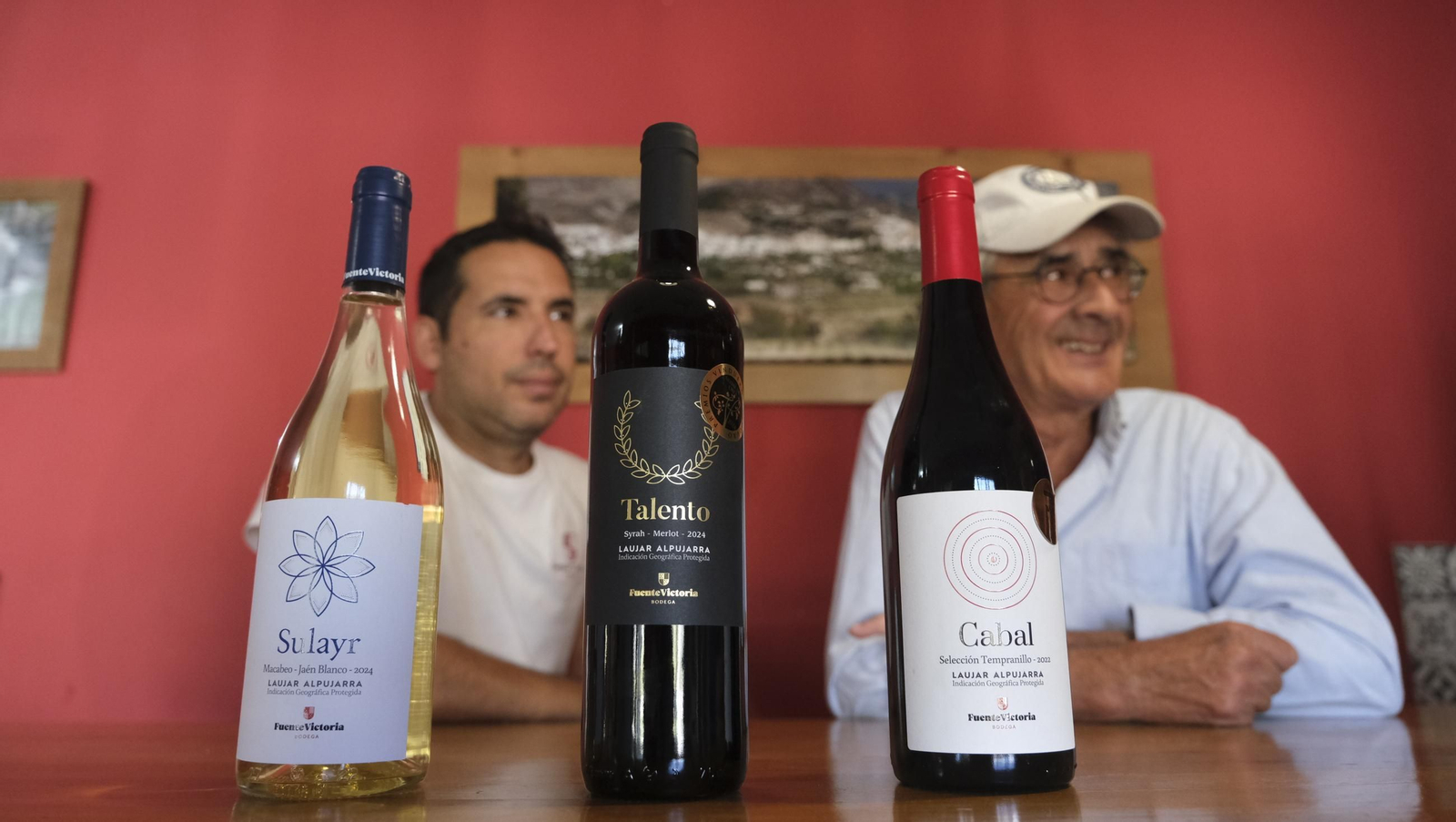 Las imágenes de la vendimia en la zona de Laujar de Andarax