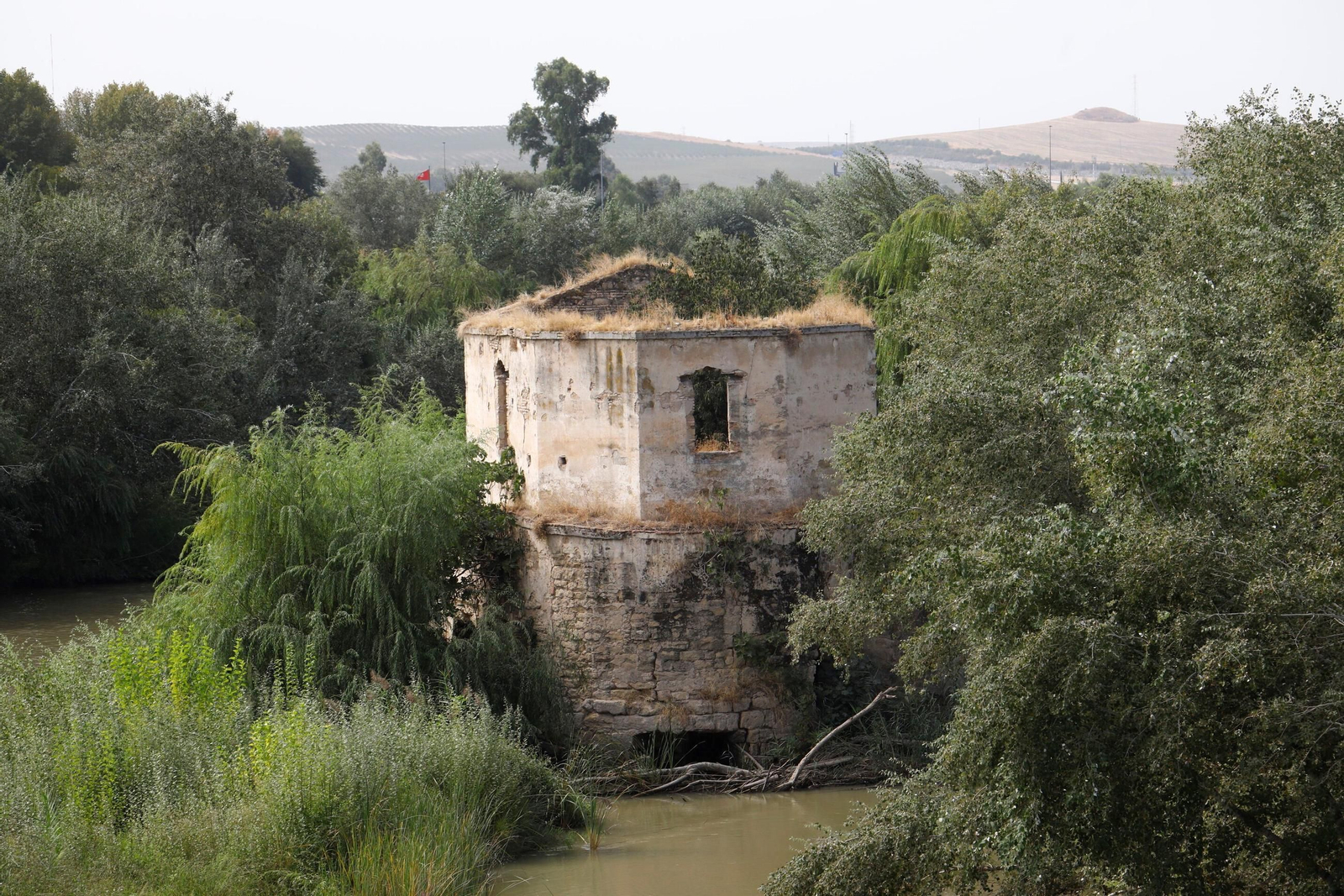 Las imágenes de los Molinos de Córdoba en el río Guadalquivir