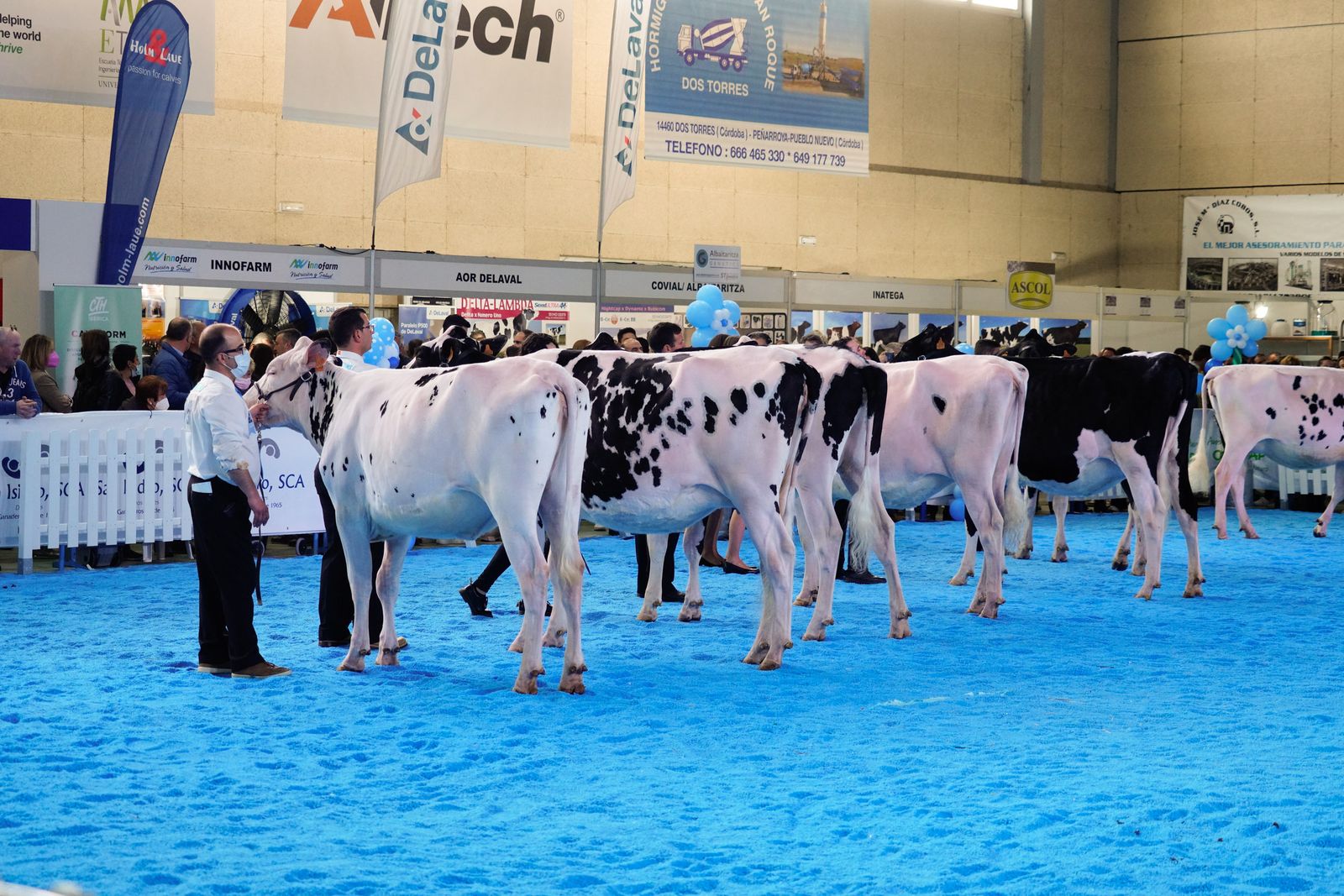 La Feria de Ganado Frisón Usías Holsteins de Dos Torres, en fotografías
