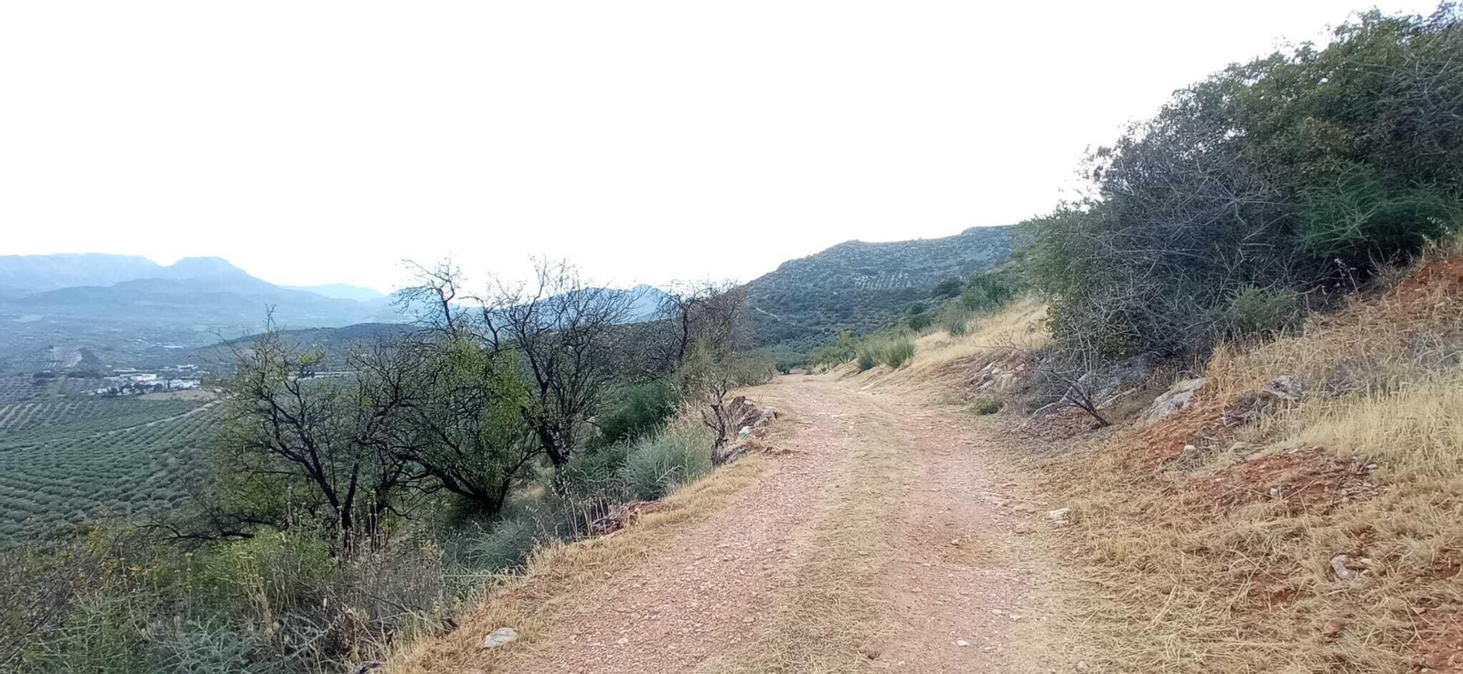 Las imágenes de la Ruta Zagrilla Baja - Esparragal - Zagrilla Baja