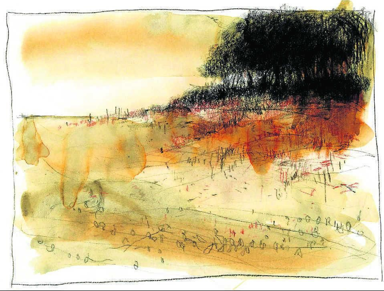 Un hombre frente a la  madre tierra