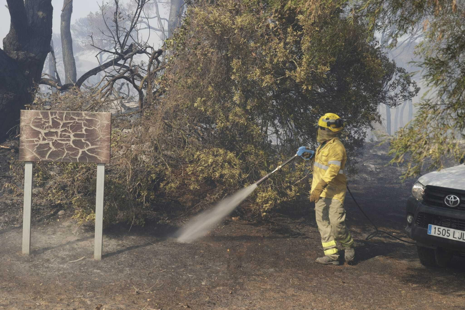 El fuego arrasa Las Canteras en Puerto Real