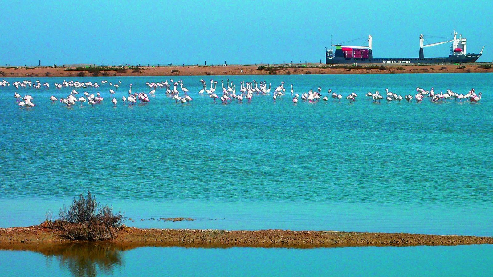 Marismas del Guadalquivir Marismas del Guadalquivir