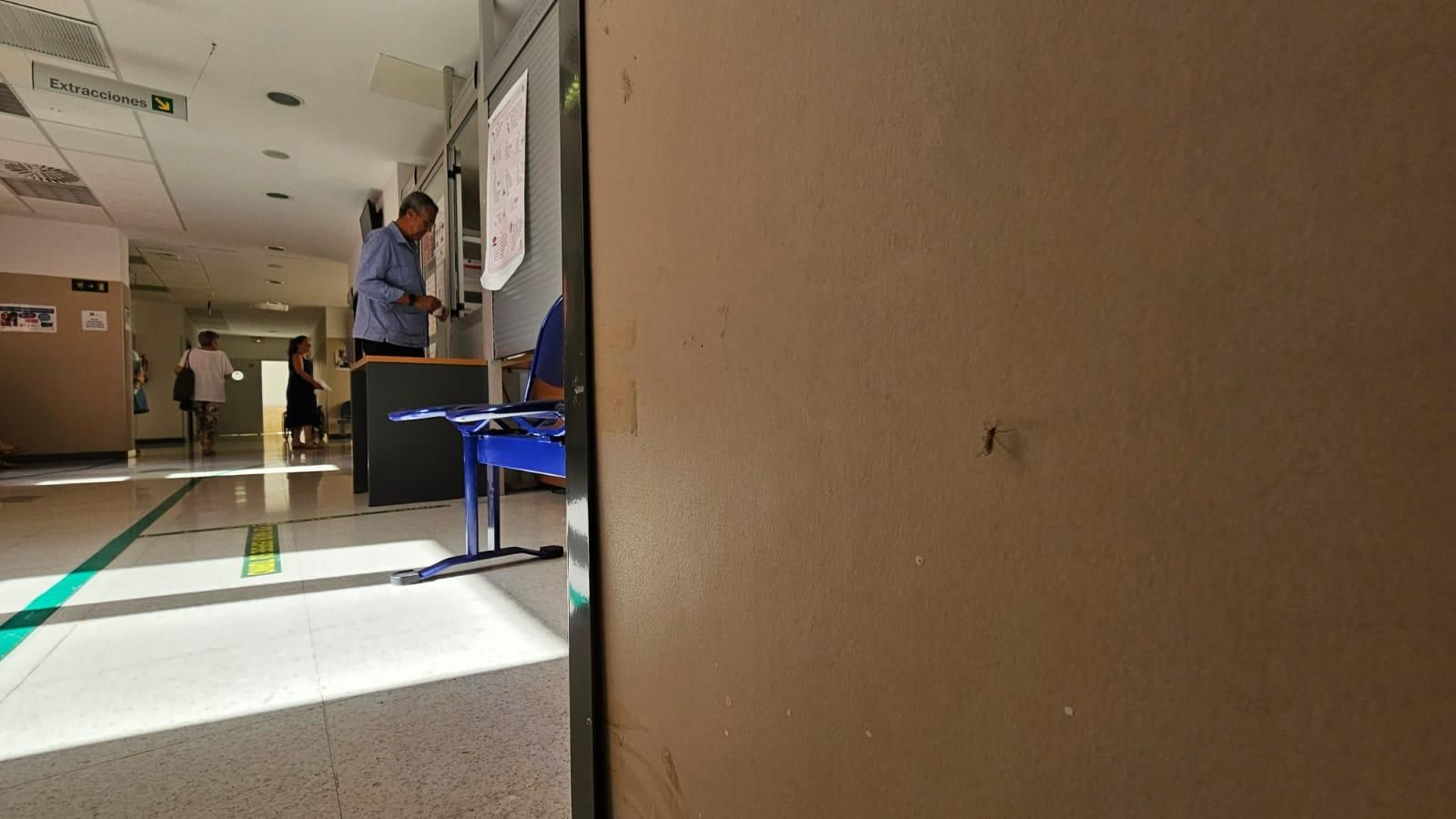 Un mosquito en la pared de la sala de extracciones.