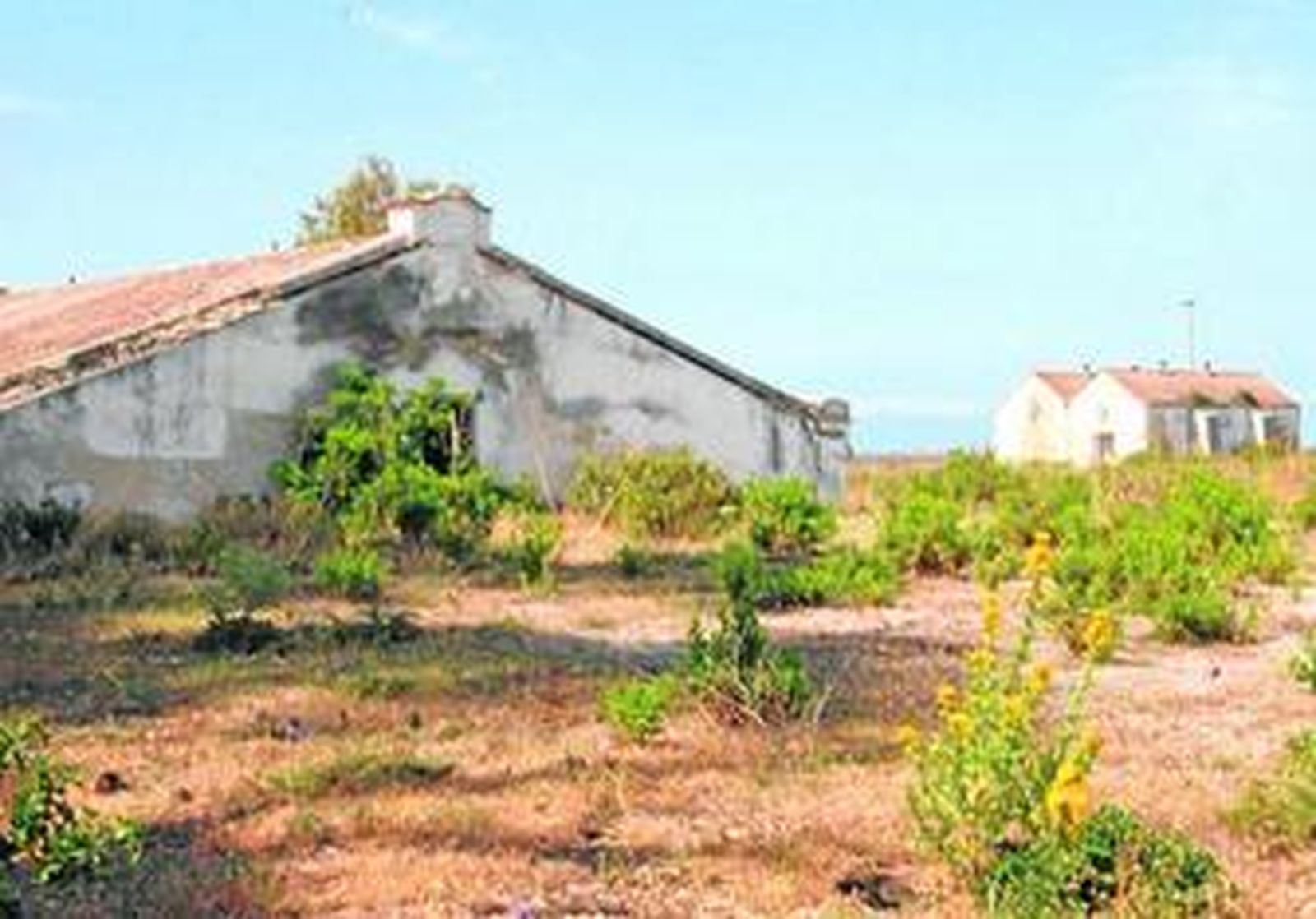 Aspecto de las estructuras existentes en el interior de los terrenos de los antiguos polvorines de Fadricas.