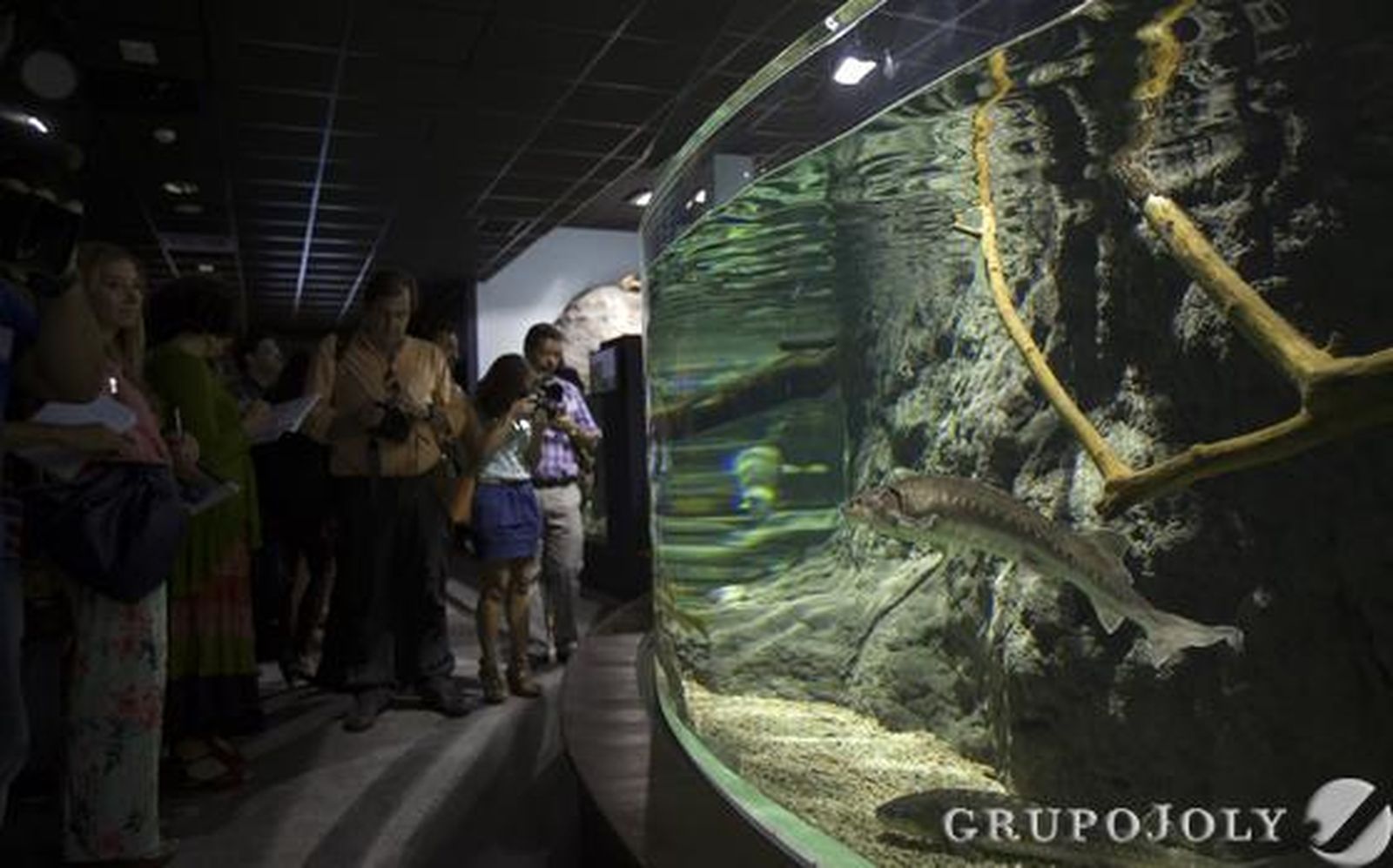 Foto: Antonio Pizarro