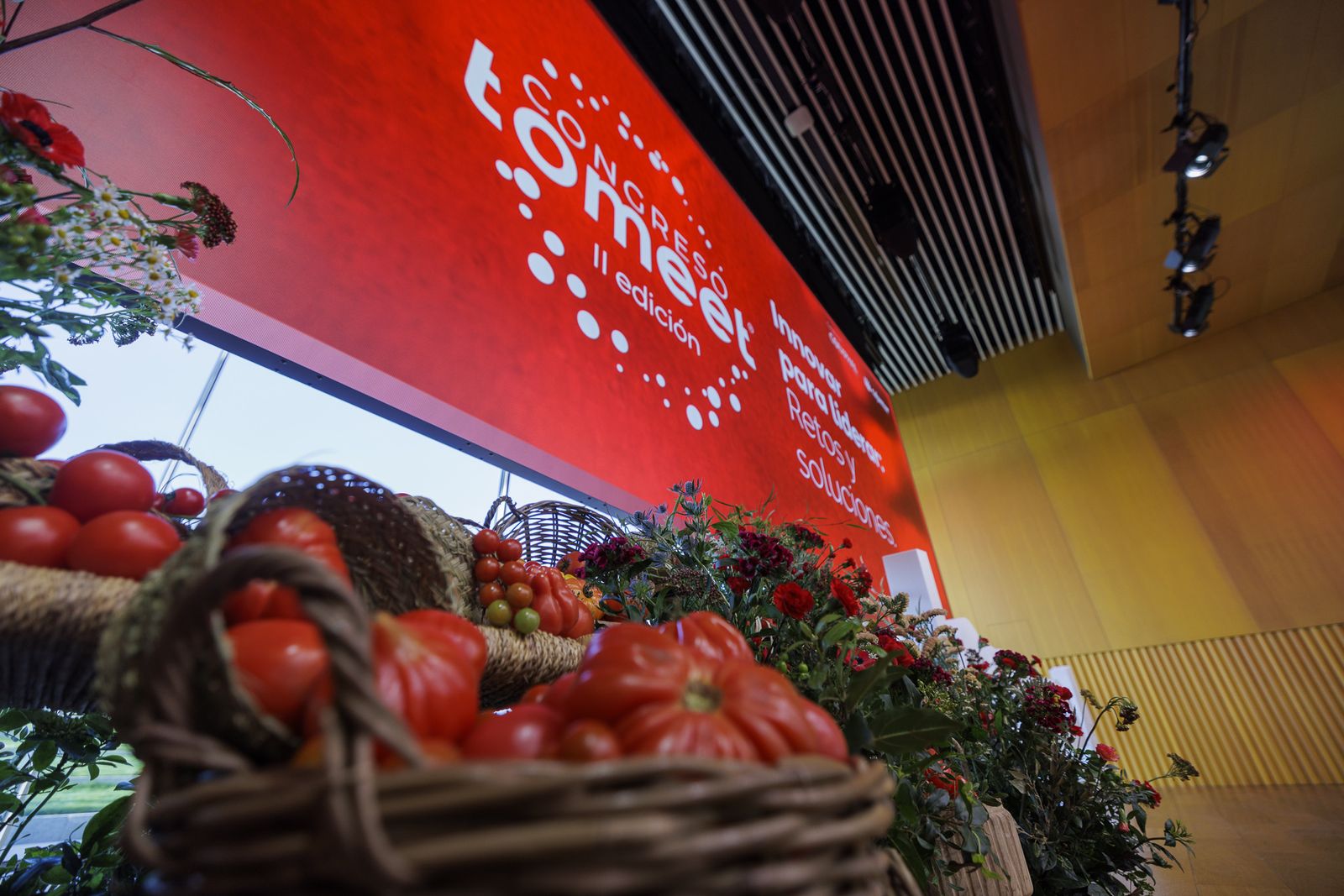 El Congreso Tomeet de Rijk Zwaan, en imágenes