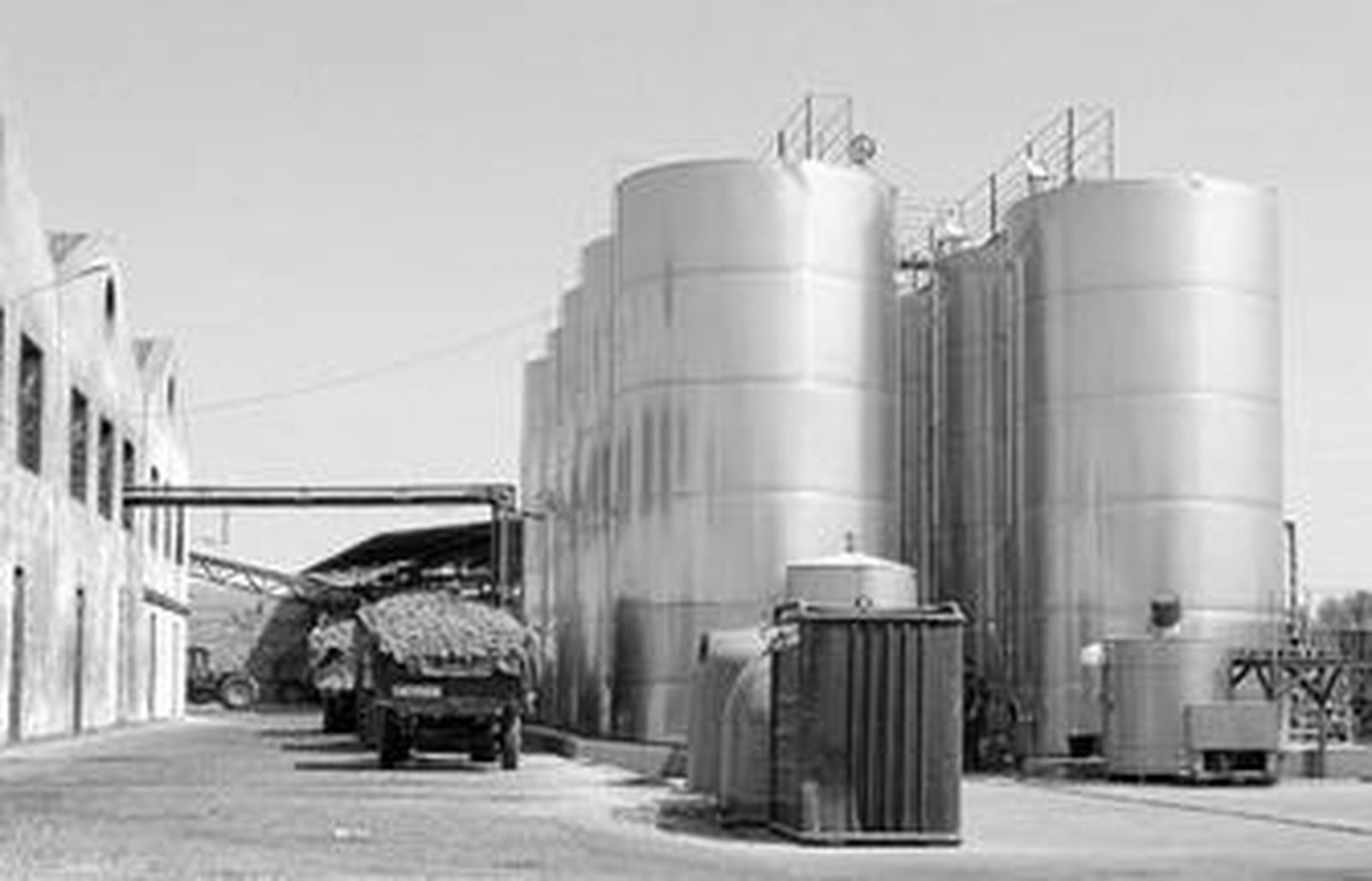 Labores de transporte de la cosecha iniciadas ayer en el corazón del Condado.