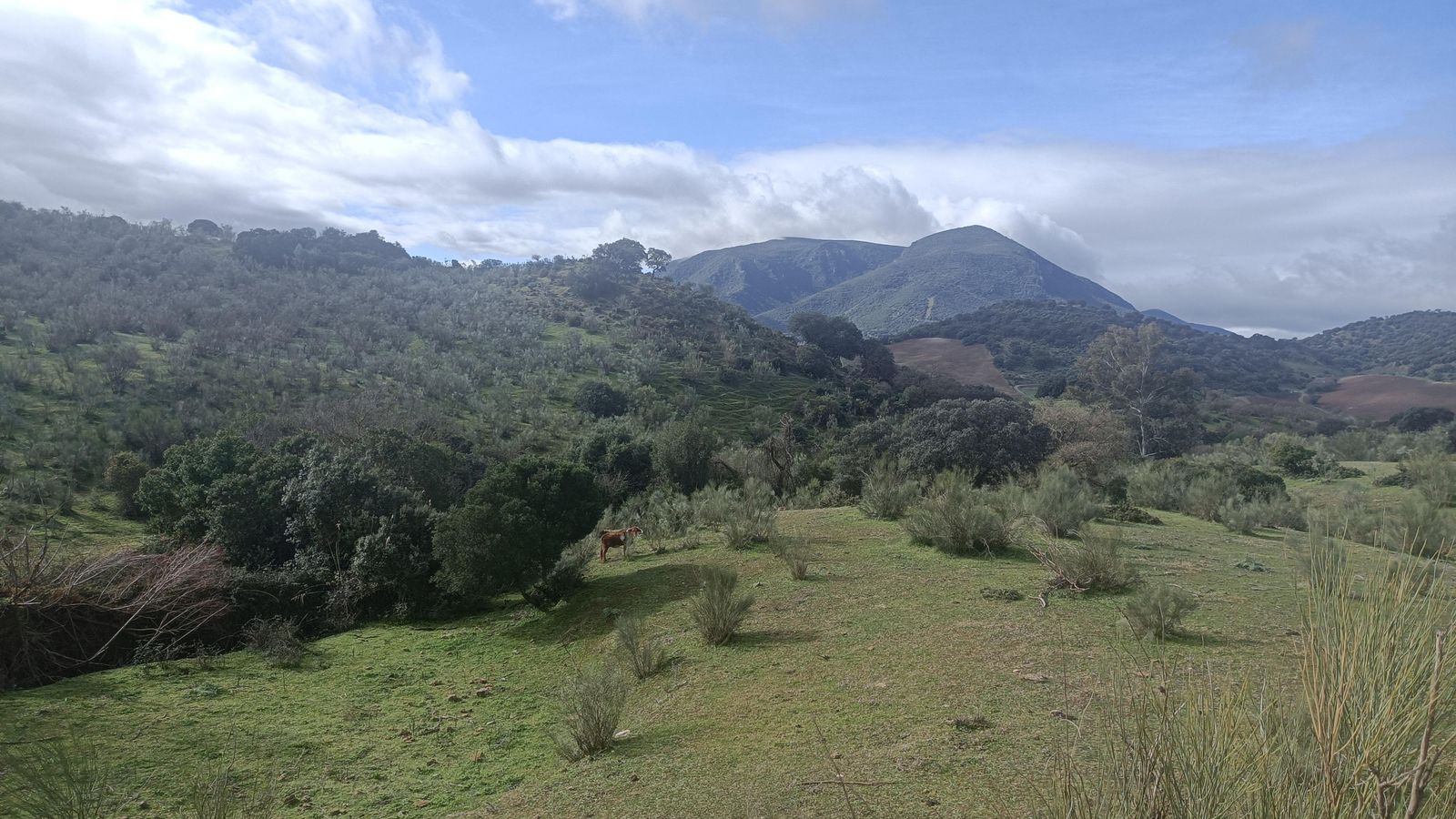 A la izquierda tendremos una vista clara de la Sierra de Líjar