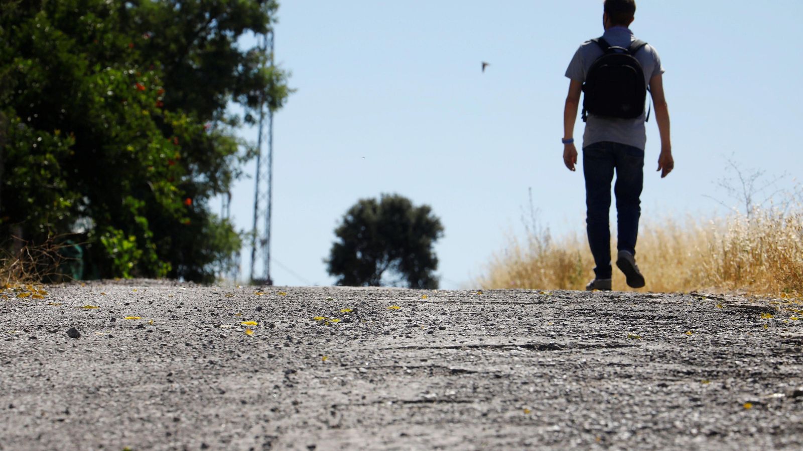 Camino Mozárabe a su paso por Los Pedroches.