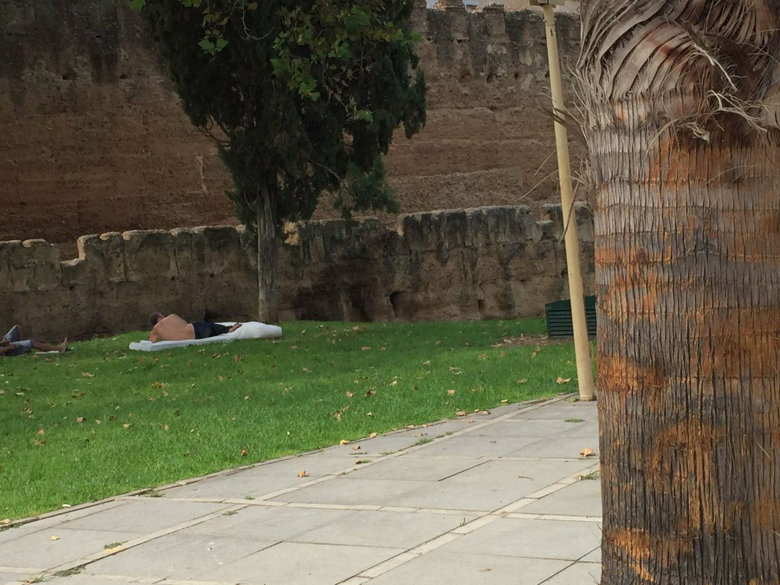 Galería de imágenes de la suciedad en distintos puntos de la ciudad.