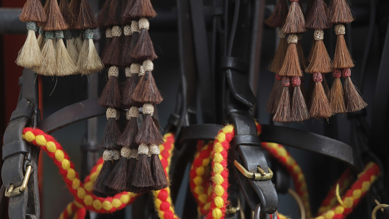 Fotos del espectáculo 'Cómo bailan los caballos andaluces' en San Roque