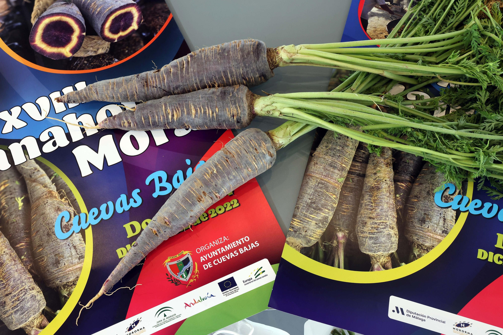 Zanahorias morá junto al cartel de la fiesta en Cuevas Bajas.