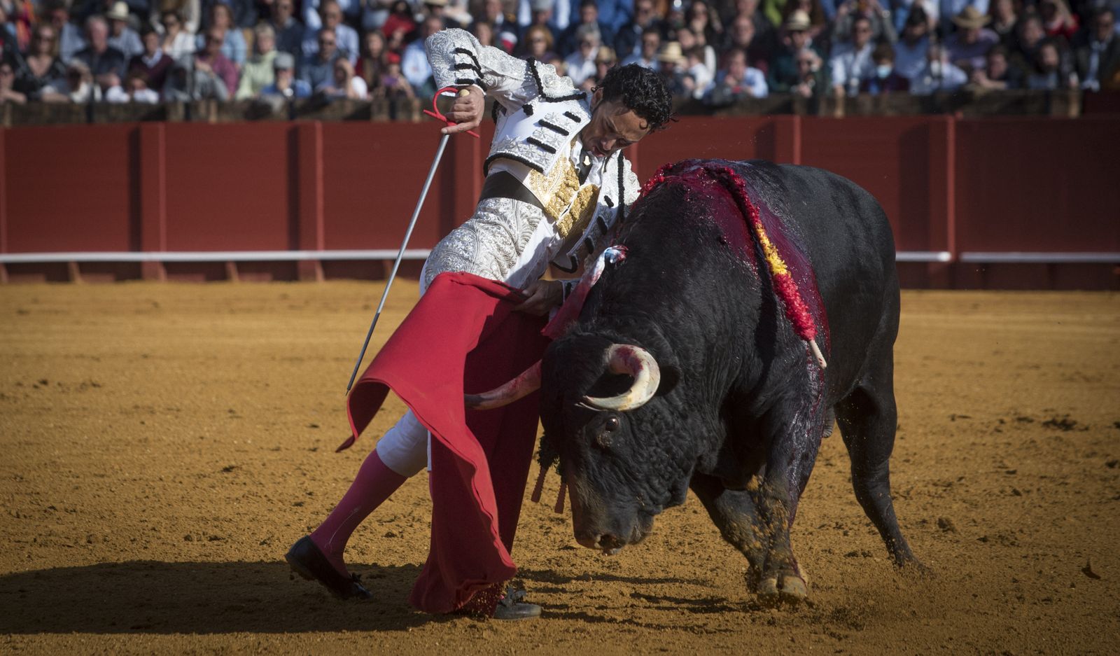 Las mejores imágenes de la corrida de toros del 24 de abril