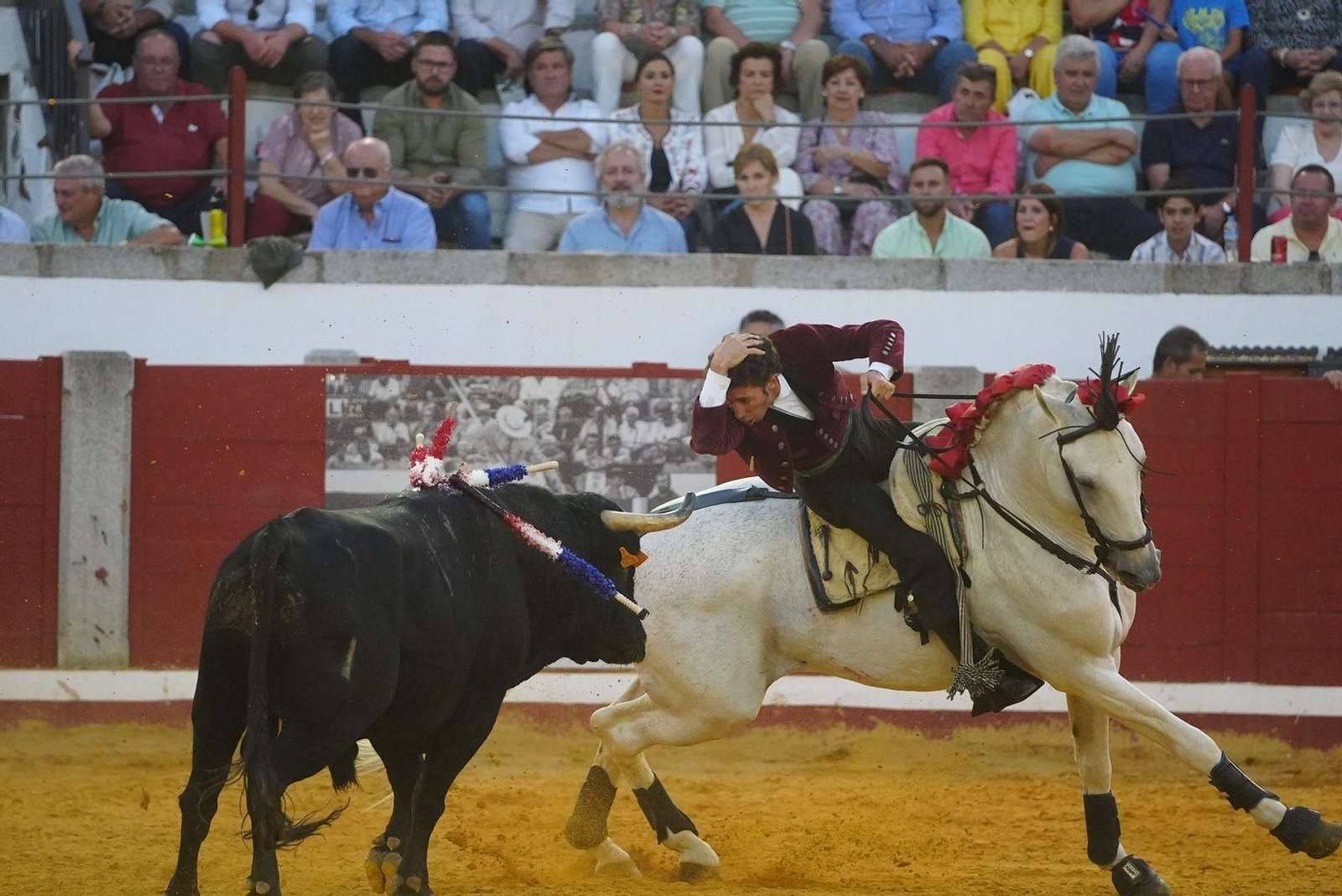 Las mejores fotos de la faena triunfal de Andy Cartagena, Leonardo y Lea Vicens en Pozoblanco Las mejores fotos de la faena triunfal de Andy Cartagena, Leonardo y Lea Vicens en Pozoblanco