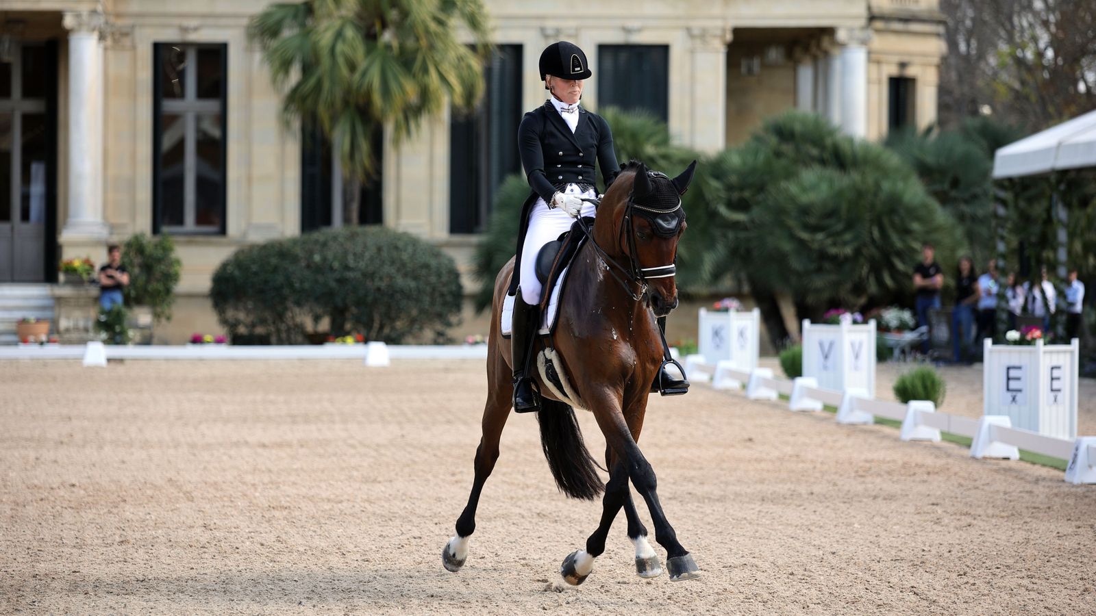 El Concurso Internacional en la Real Escuela Ecuestre, en imágenes